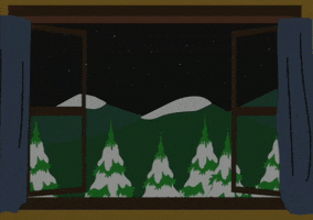 window curtains GIF by South Park 