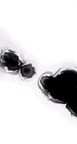 b3fb  GIF