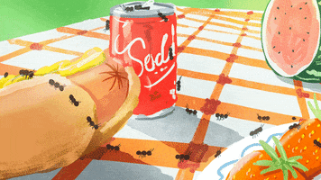 hot dog ants GIF by GIPHY Studios Originals