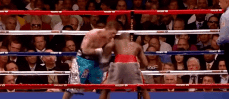 cesarovando  GIF