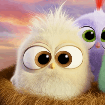 Angry Birds cute mom angry birds mothers day GIF
