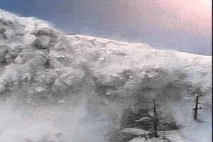 Text gif. Snow avalanche of multiple "Awesome" words fall over a tree.