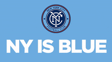 mls ny is blue GIF by NYCFC
