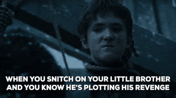 game of thrones brother GIF