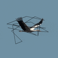 fly flying GIF by MadaGarbea