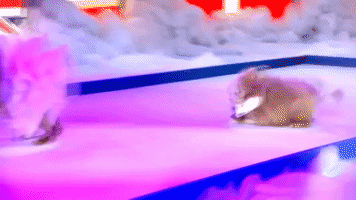 200.gif?cid=fc005b08b43f81d2f8212332f56e87251f099245ea953966&rid=200.gif&ct=g