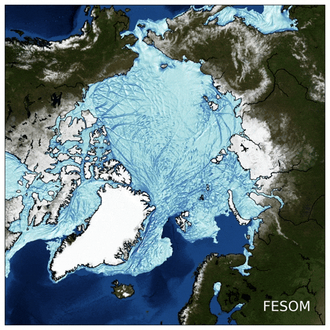 koldunovn arctic sea ice arctic ocean fesom GIF