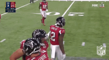 atlanta falcons football GIF by NFL