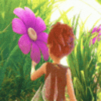 loor zarina pirate fairy GIF