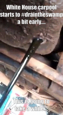 PepeFarmRemembers white house draintheswamp GIF