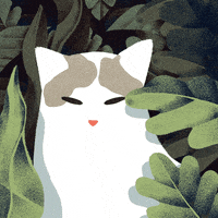 Cat Lady GIF by Jeannie Phan