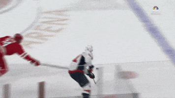 awesome hockey GIF by Capitals