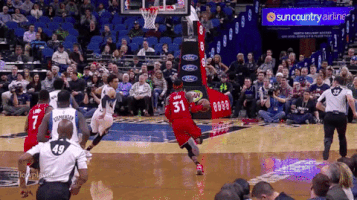 rapsfan toronto raptors GIF