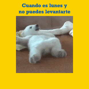 patyanteli  GIF