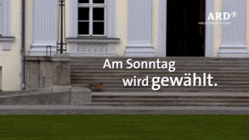 ardhsb_bab fuchs ard hauptstadtstudio schloss bellevue GIF