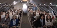 jmoreno44 airplane panic chaos don't panic GIF