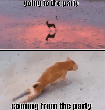 x-RTone music party techno rave GIF