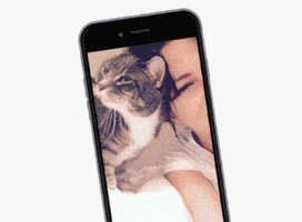 Kanå³ Liå«Tai KanãÂ³ LiãÂ«Tai GIF by 15min