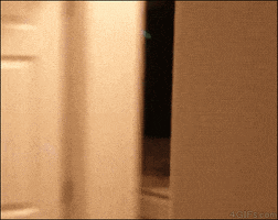 shinigami  GIF