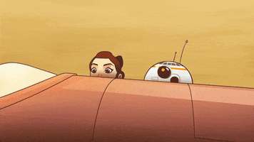 Bb-8 Rey GIF by Star Wars