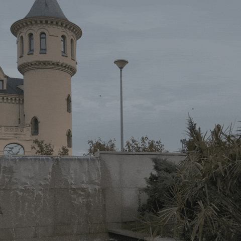 alcorconhoy GIF