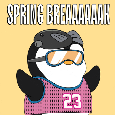 Spring Break Party GIF by Pudgy Penguins