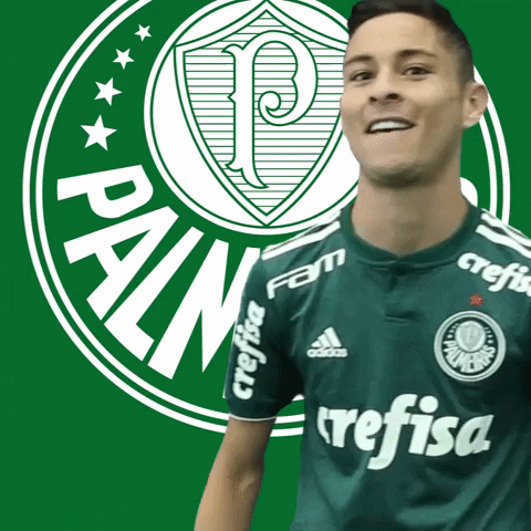 diogo barbosa power GIF by SE Palmeiras