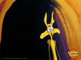 Wile E Coyote No GIF by Looney Tunes