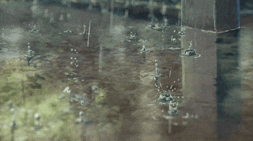 Animation Drawing GIF