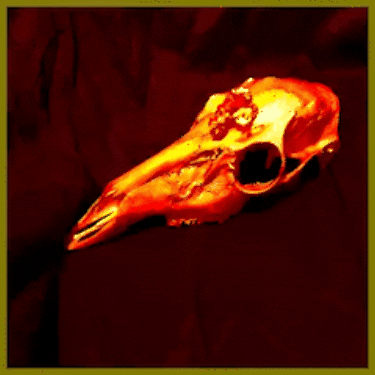 boneleftface