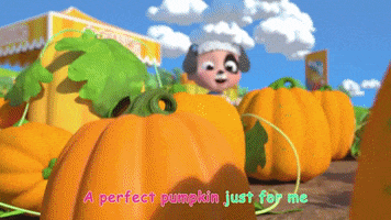 Pumpkin Patch Halloween GIF by moonbug