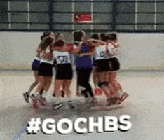Club Handball Séveragais GIF