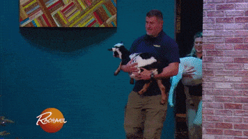 christmas eating GIF by Rachael Ray Show