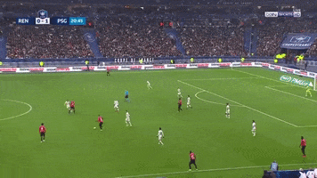 Psg GIF