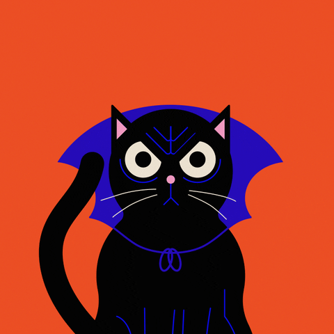Mad Black Cat GIF by Lucy Woodworth Design