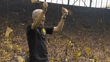 lucien favre football GIF by Borussia Dortmund
