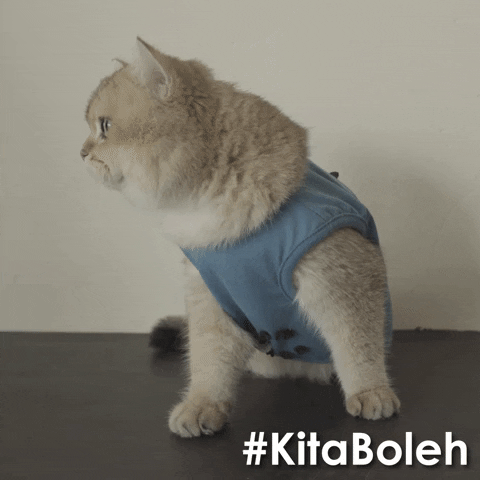 bored world cup GIF by Celcom
