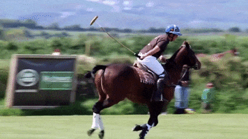 Triskelion Polo Club GIF