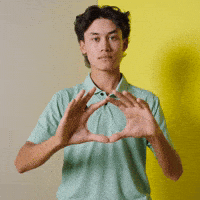 Oregon GIF by GoDucks