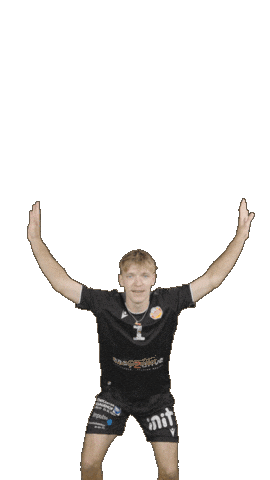 Deutschland Sticker by Volleyball Bundesliga