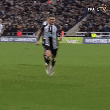 Giphy - Newcastle United Trippier GIF by Newcastle United Football Club