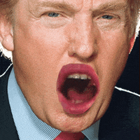 Donald Trump Mouth GIF