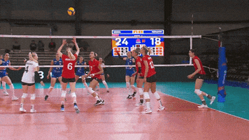 Vamos Oh No GIF by Volleyball World