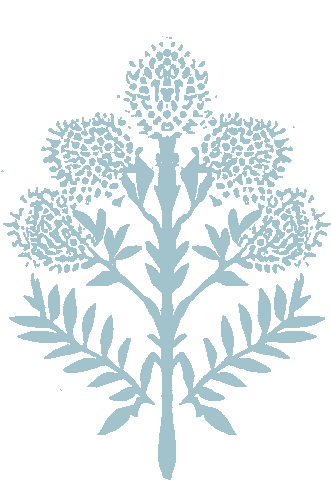 Interior Design Bows Sticker by Whitney English