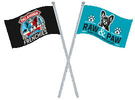 French Bulldog Sticker by OKC Frenchies