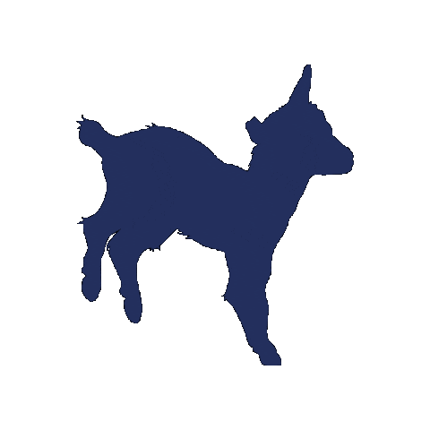 Kabrita Arabia Sticker