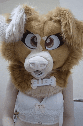 Furry GIF