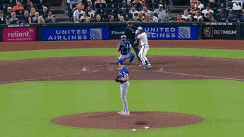 Blue Jays Baseball GIF by Toronto Blue Jays