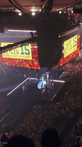 harry styles boxing gif