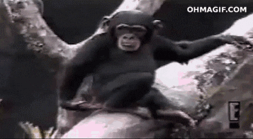 Monkey Poop GIF by Kate